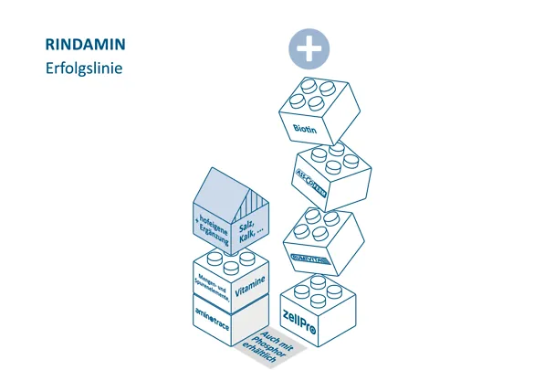 Milchkuehe_2026_251125_04