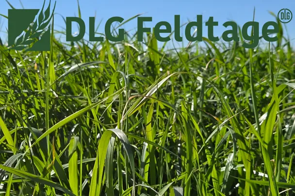 de_hws_dlg_feldtage_header_2026