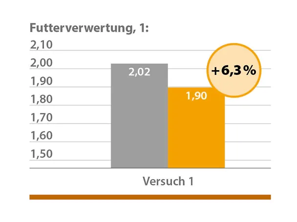 Geflügelfütterung mit CERAVITAL