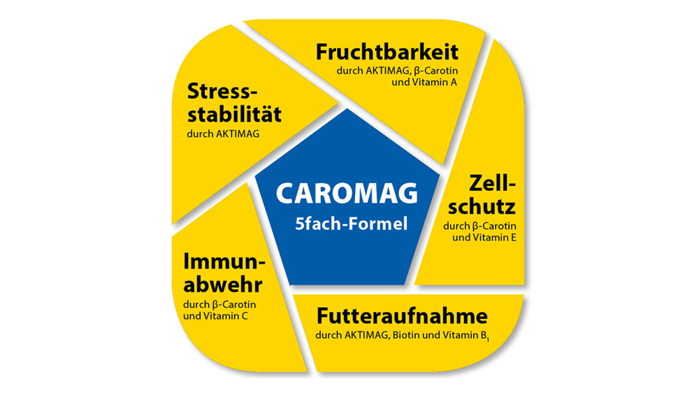 CAROMAG für Milchkühe CAROMAG für Milchkühe
