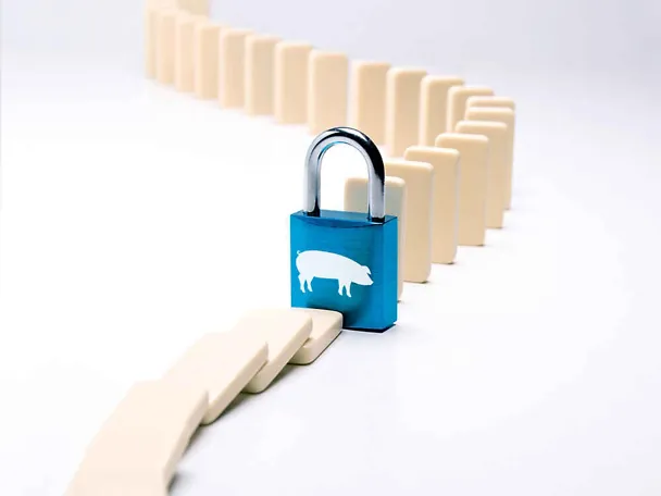 Symbolbild: SCHAUMACID-Futtersäuren stoppen den Infektionskreislauf Symbolbild: SCHAUMACID-Futtersäuren stoppen den Infektionskreislauf