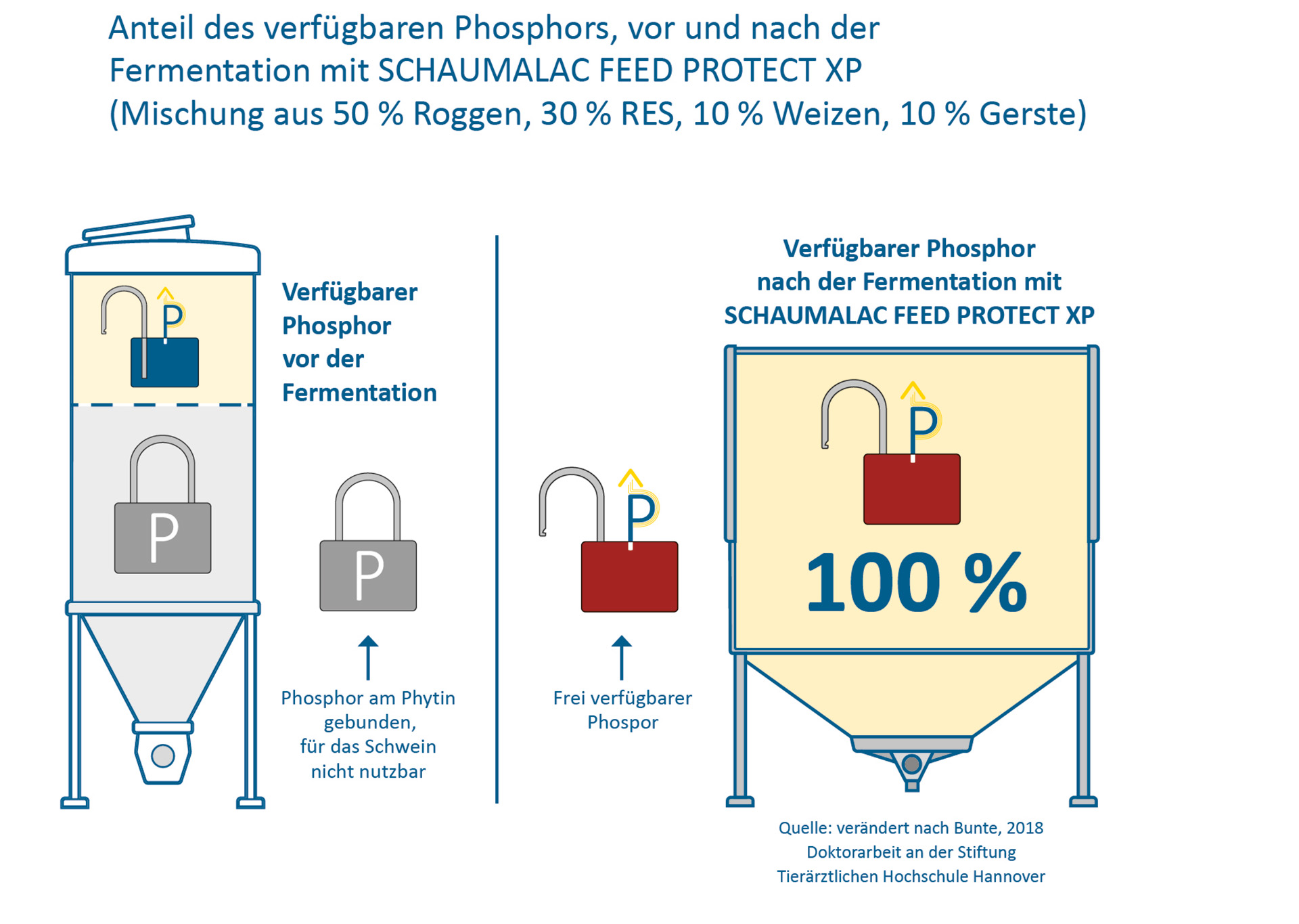 Höhere Phosphorverfügbarkeit durch Fermentation