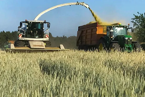 Ernte von Ganzpflanzensilage (GPS) auf Gut Hülsenberg