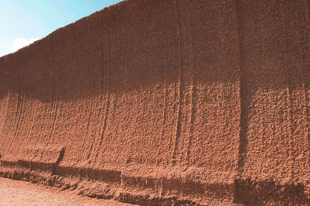 Anschnittfläche einer Maissilage