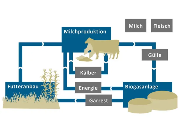 Grafik zur Klimabilanz von Gut Hülsenberg