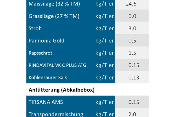 Trockensteher-Ration auf dem Betrieb Sindel