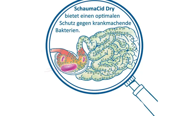 Wirkung von SCHAUMACID DRY