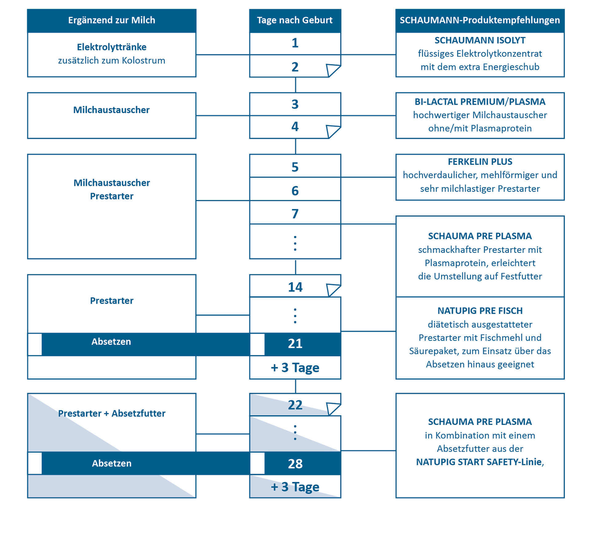 Das SCHAUMANN-Konzept zur Saugferkel-Beifütterung