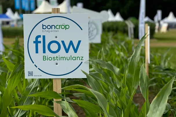 DLG Feldtage 2024 Schild boncrop flow Mais