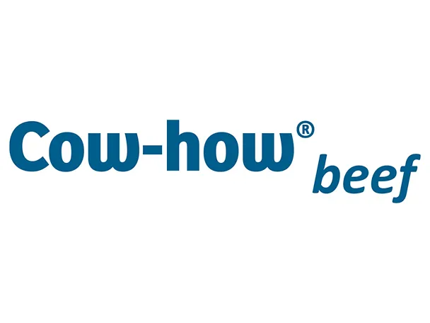 Logo Cow-how beef