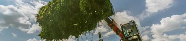 Radlader mit Grassilage Radlader mit Grassilage