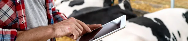 Mann mit Tablet im Kuhstall betrachtet News & Media 